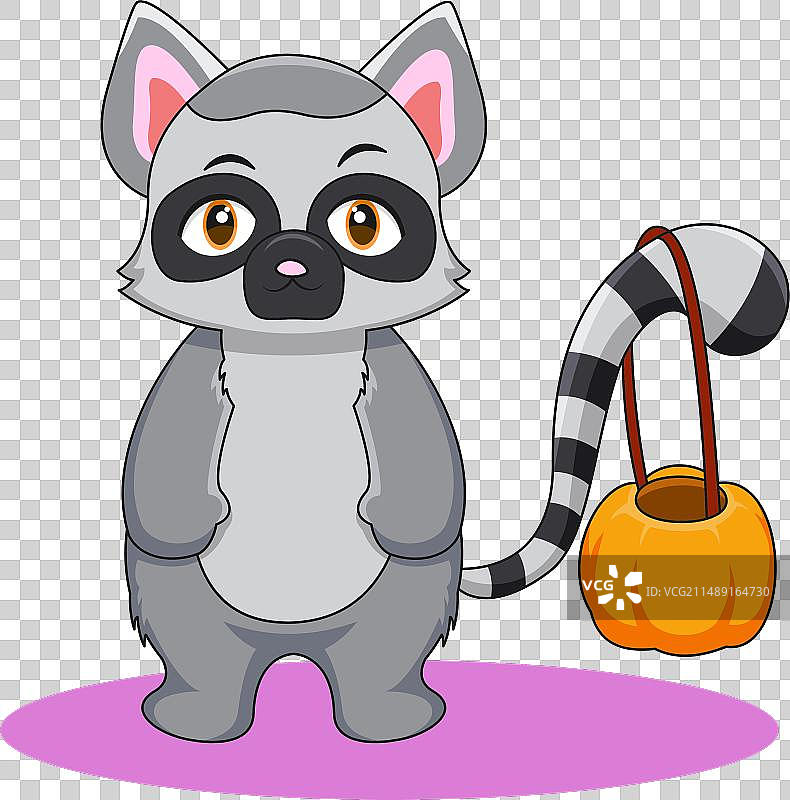 抱着南瓜的可爱雪貂图片素材