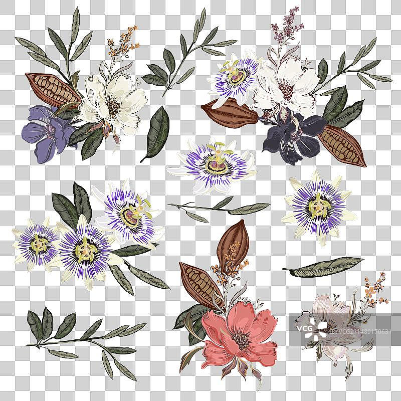 复古手绘花朵素材图片素材