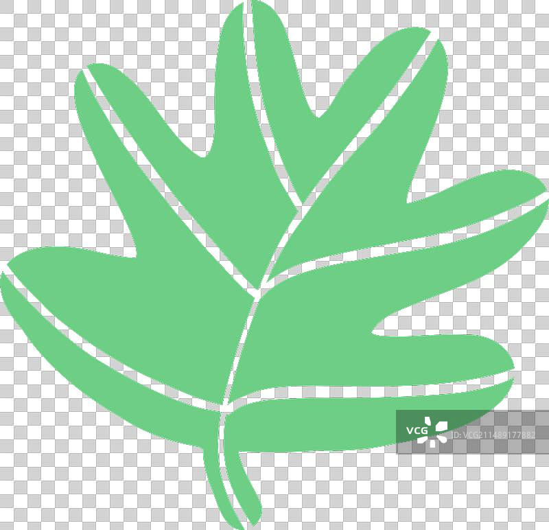 受马蒂斯植物启发的抽象有机形状图片素材