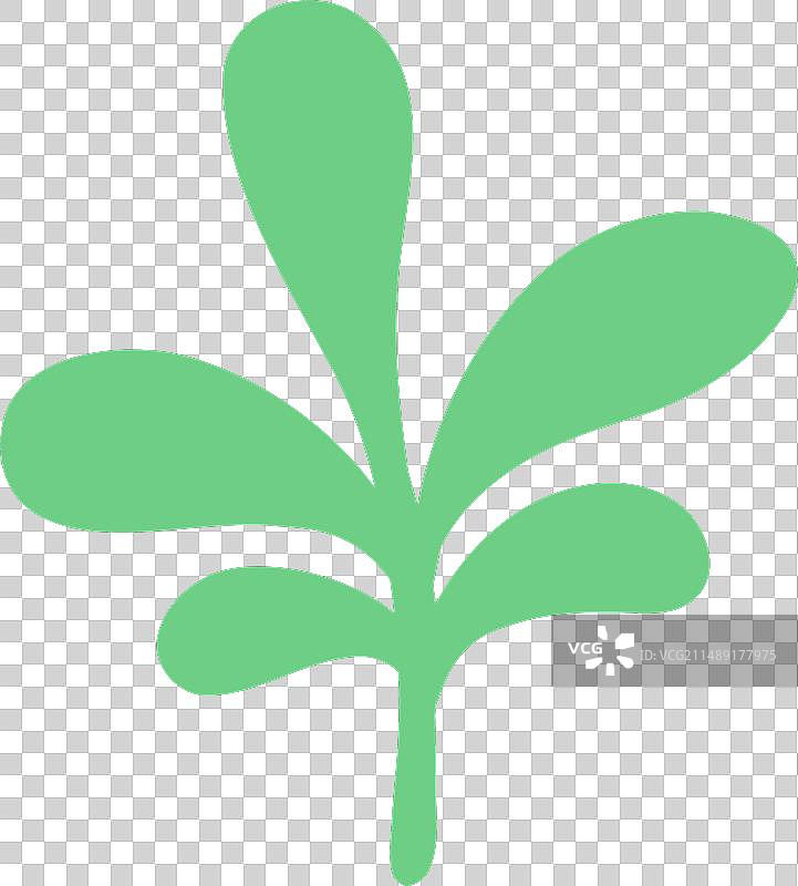 受马蒂斯植物启发的抽象有机形状图片素材