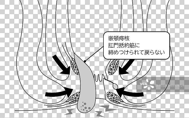 截面图图片素材