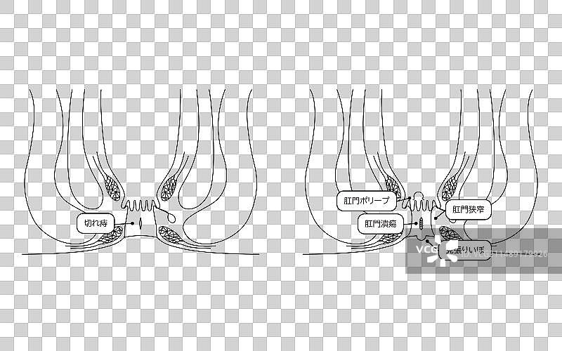 截面图图片素材