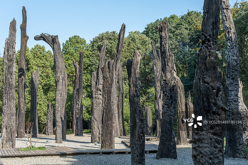 四川成都青羊区金沙遗址博物馆乌木林图片素材