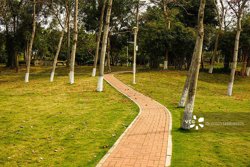 梅华城市花园图片素材