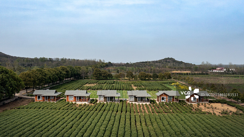 南京赭洛山茶文化园图片素材