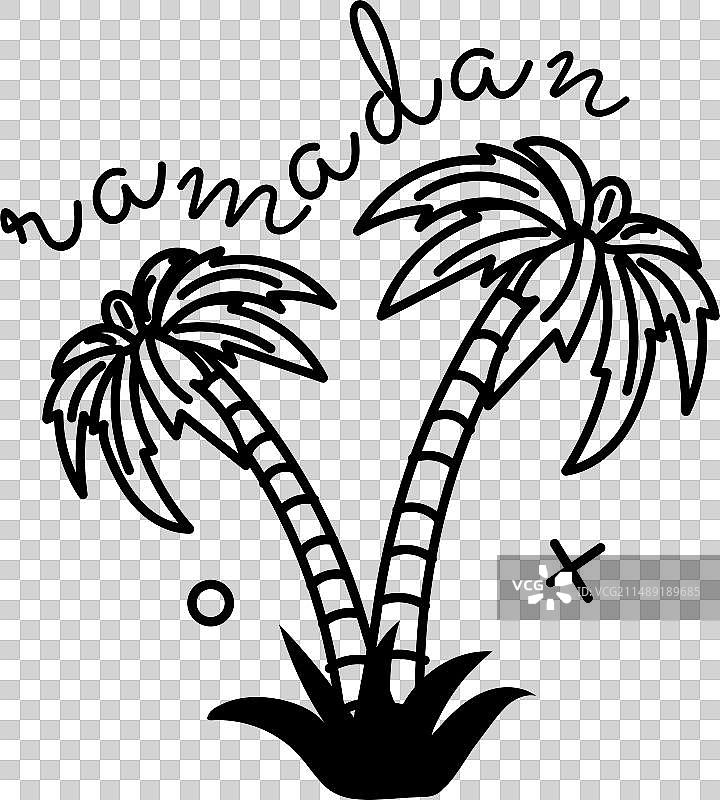 海枣树图片素材