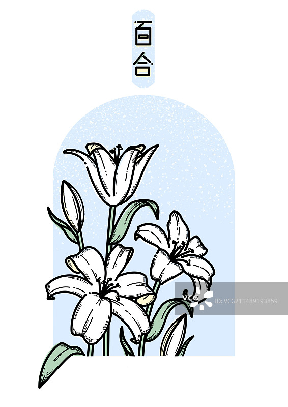 新中式描边百合插画图片素材