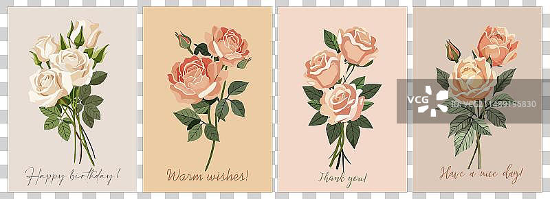 粉色珊瑚玫瑰卡片套装图片素材