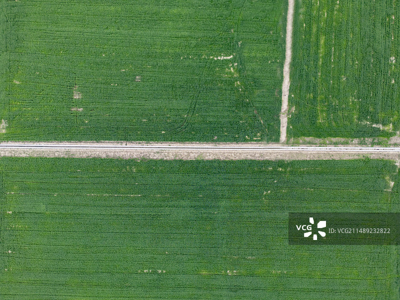 农田中的小道图片素材