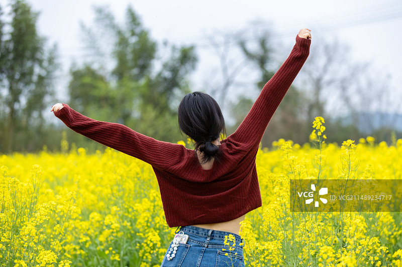 美女在油菜花从前放松伸懒腰背影图片素材