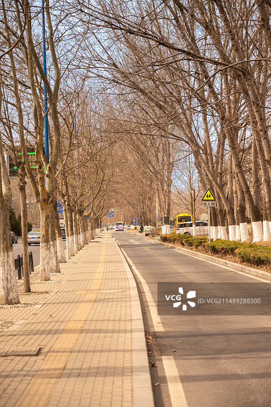 汽车广告背景图-城市道路，城市街道，街道两旁的树图片素材