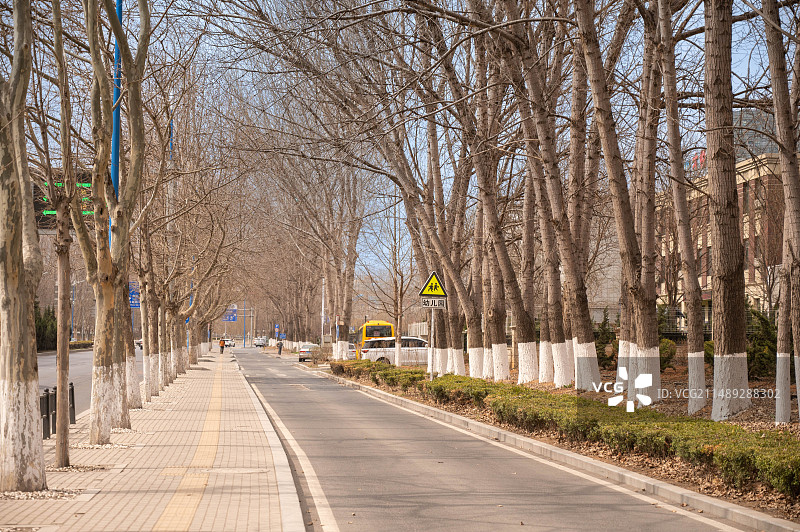 汽车广告背景图-城市道路，城市街道，街道两旁的树图片素材