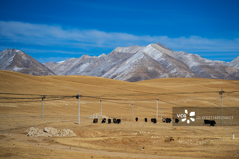 西藏拉萨尼木县晴朗冬日风光图片素材