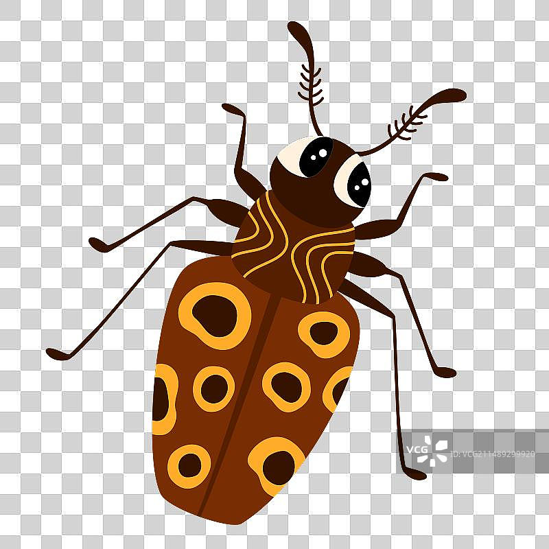 1625 甲壳虫图片素材