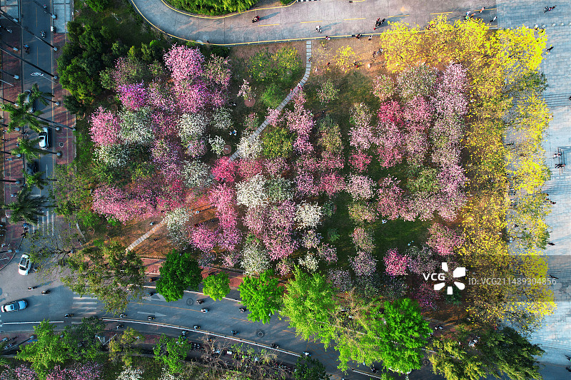 春意盎然图片素材