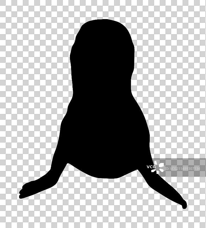 孤立的斑海豹轮廓图片素材