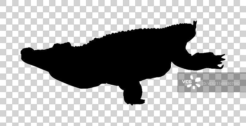 鳄鱼剪影图片素材
