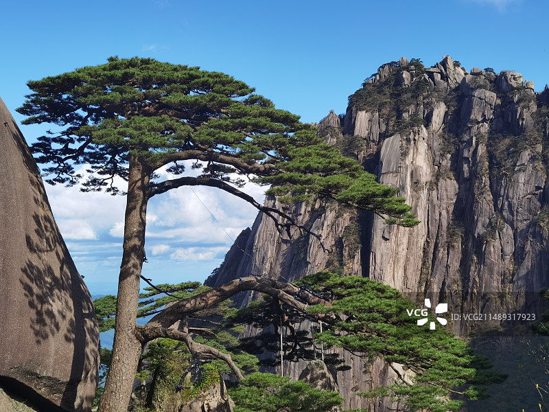 黄山云海迎客松图片素材