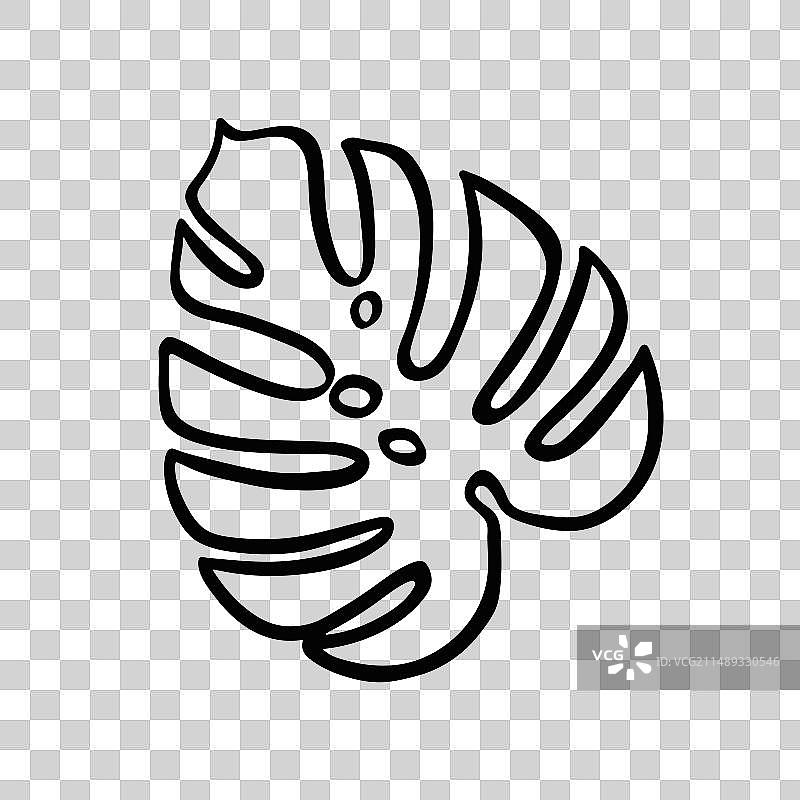 手绘棕榈叶轮廓图片素材