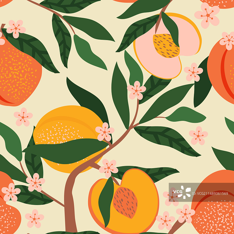 树枝上的桃子、水果、花朵和叶子图片素材