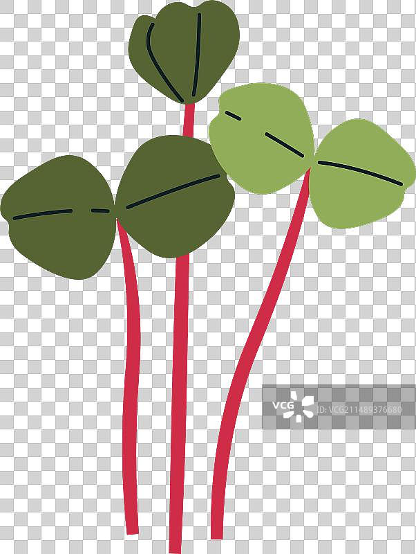 罗勒苗微型蔬菜图片素材