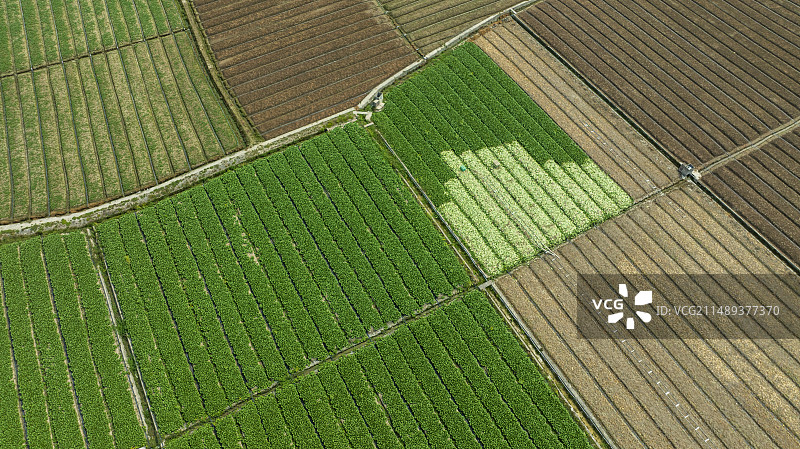 春季大地耕地鸟瞰图图片素材