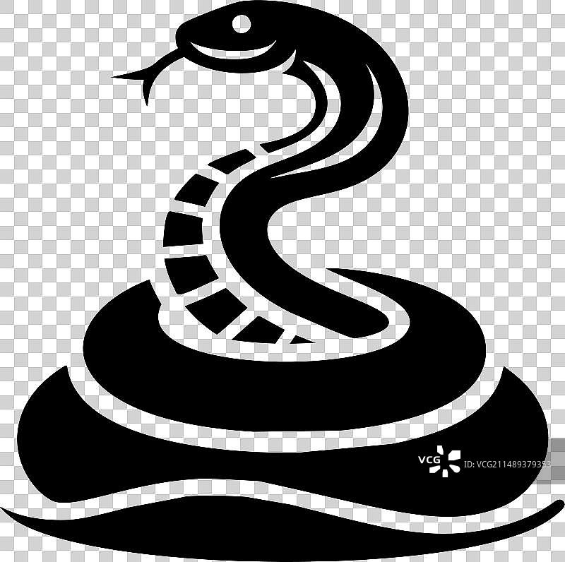 蛇形轮廓图片素材