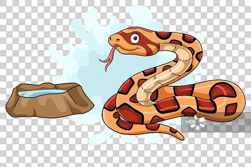 白色背景上的卡通愤怒的玉米蛇图片素材