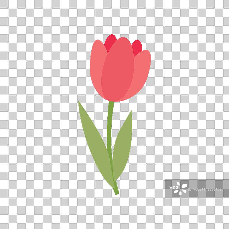 手绘可爱春天郁金香花朵图片素材