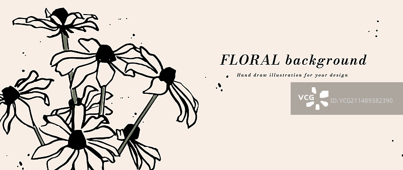 紫锥菊墨水草图背景或banner图片素材