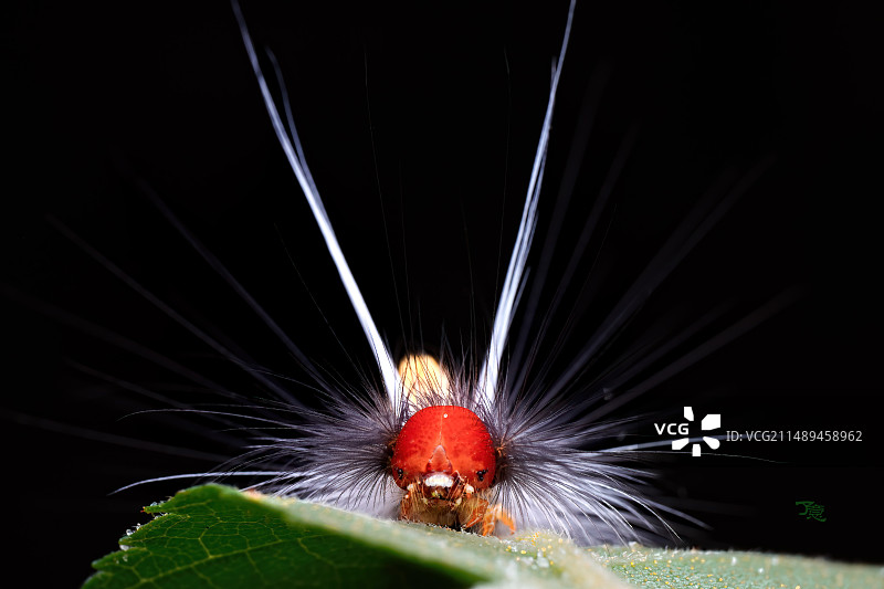 路由器图片素材