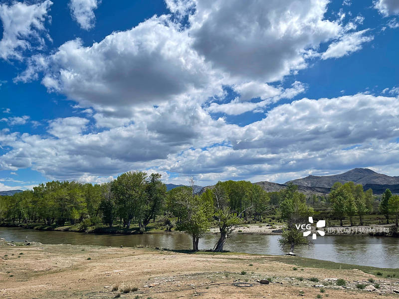 夏季的乌伦古河图片素材