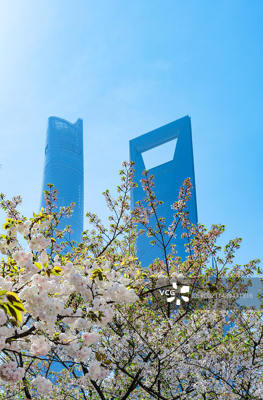 浦东春天图片素材