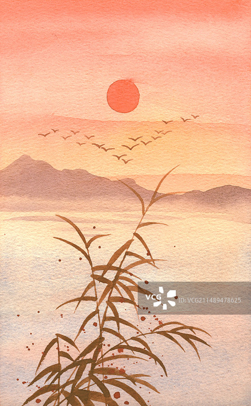 黄昏的芦苇图片素材