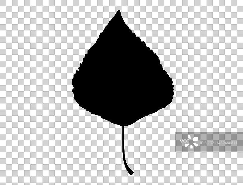 白杨叶剪影艺术图片素材