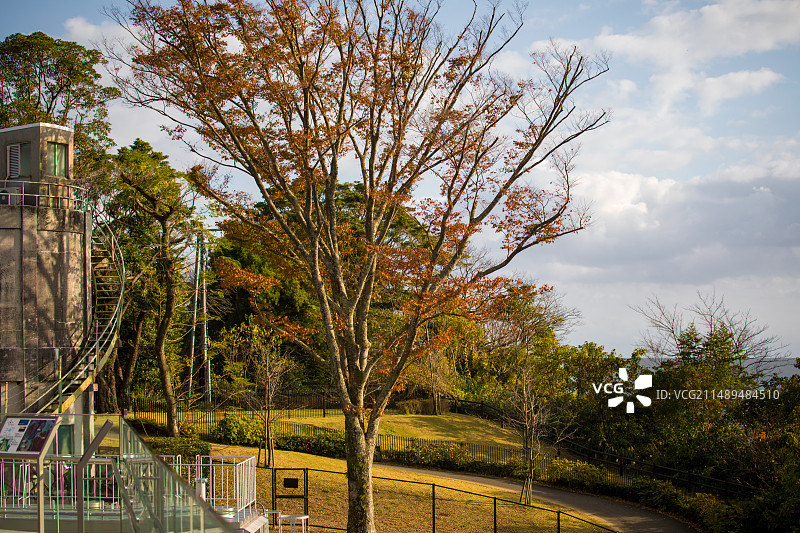 亚洲日本静冈县日本平的风光图片素材
