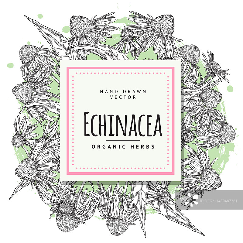 手绘复古方形框架模板图片素材