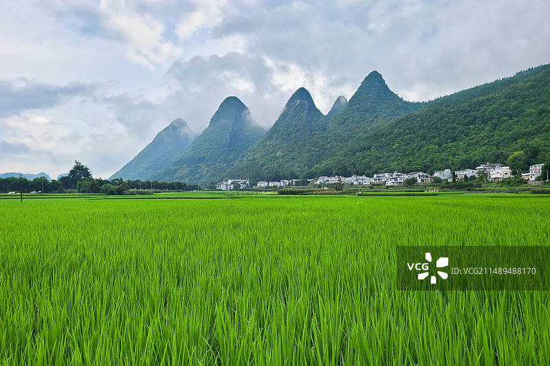 贵州兴义万峰林图片素材