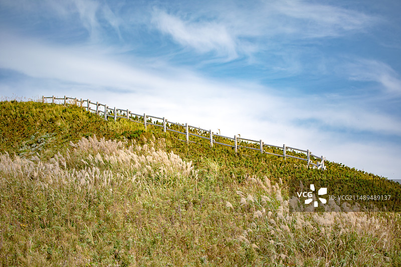 亚洲日本北海道礼文岛的桃岩徒步道图片素材