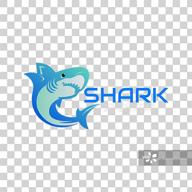 鲨鱼游泳俱乐部标志图片素材