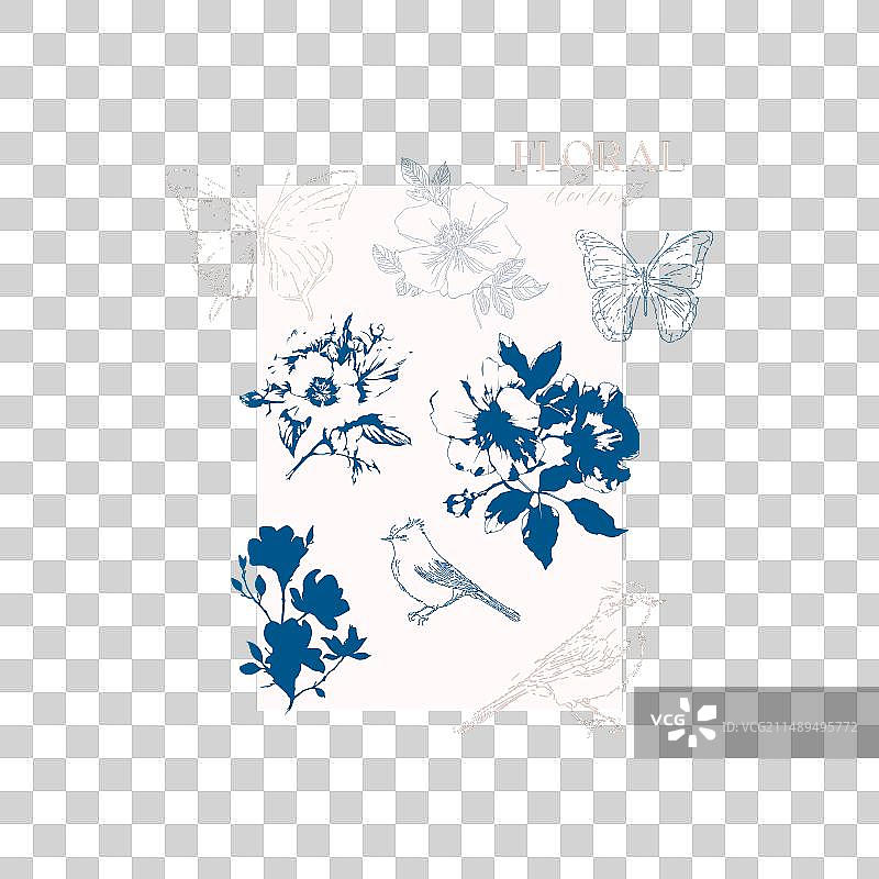 木槿野玫瑰花抽象花卉图片素材