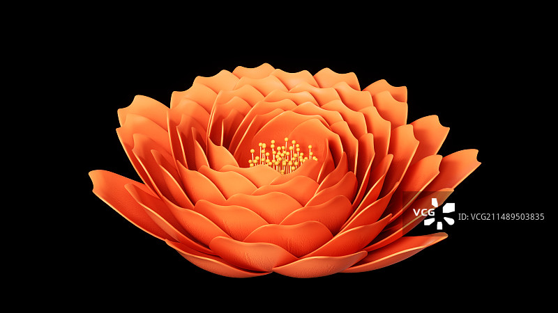 黄色橙色开花摇曳图片素材