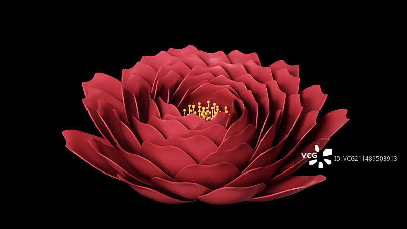 红色开花摇曳图片素材