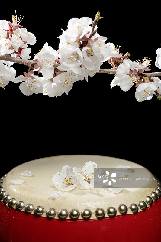 杏花飘落在腰鼓上图片素材