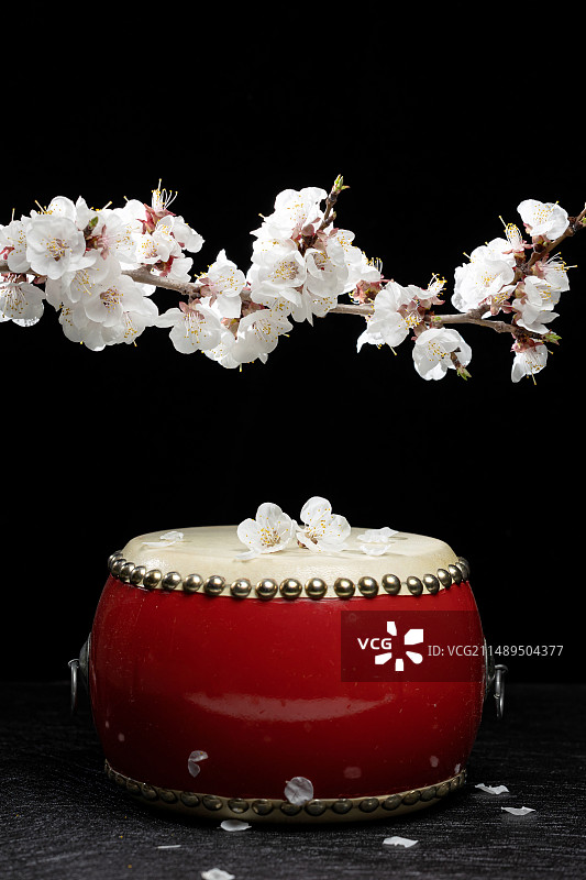 杏花飘落在腰鼓上图片素材