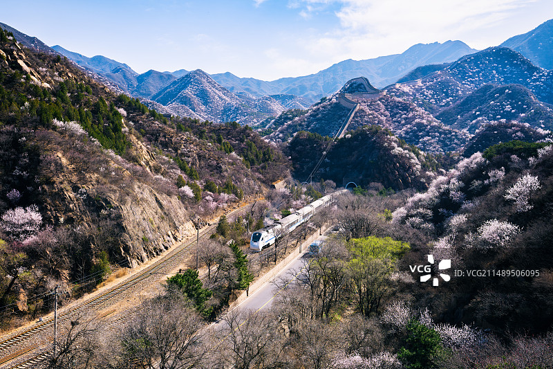 水关长城桃花开图片素材