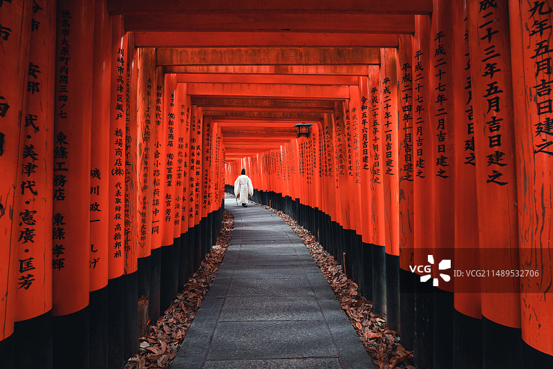 京都.稻荷图片素材