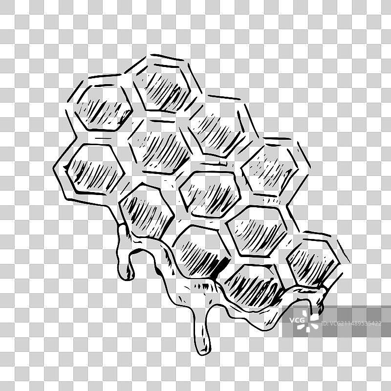 蜂窝蜂胶涂鸦草图图片素材