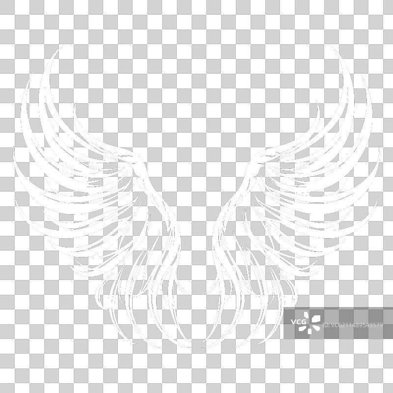 黑白优雅的羽毛天使翅膀图片素材