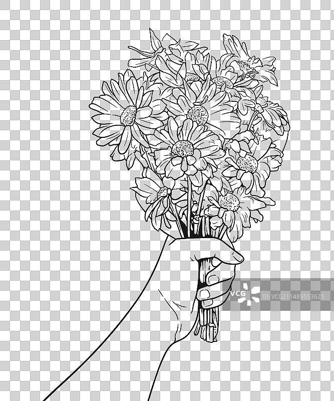 女性手部展示线条花束图片素材